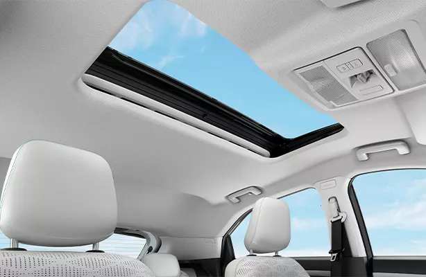 Voice assisted sunroof