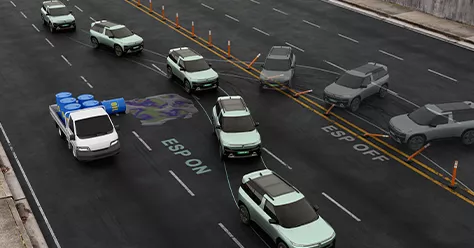 Electronic Stability Program