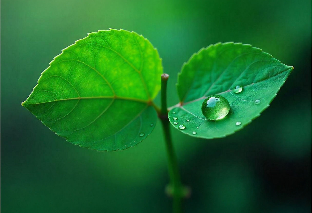 Web banner AutoExpo 614X420