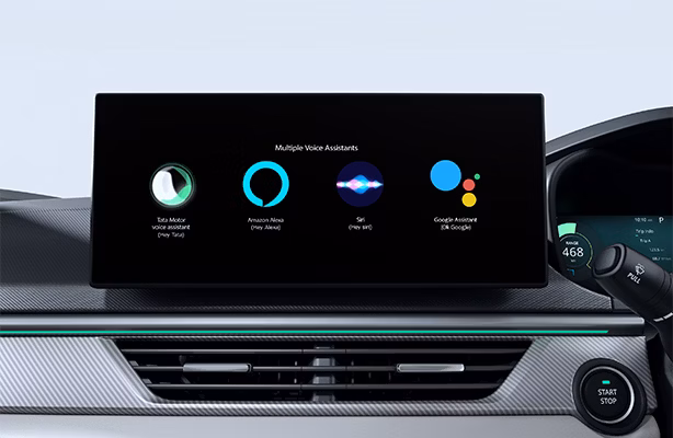 Multiple Voice Assistants