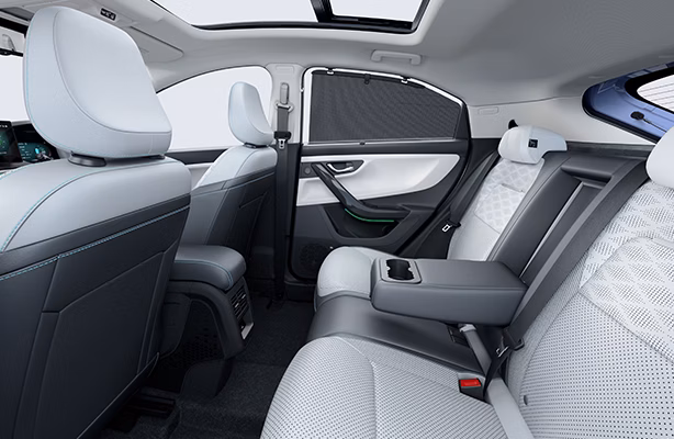 Rear Armrest with EasySip Cup-docks