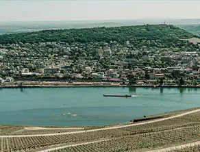 Rhine Rhapsody 