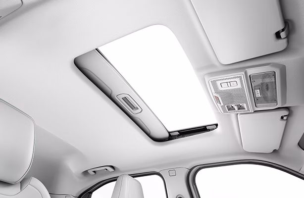 Voice Assisted Electric Sunroof