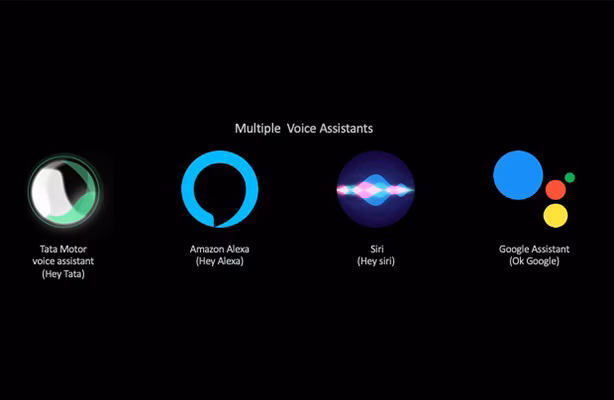 Multi voice assistance