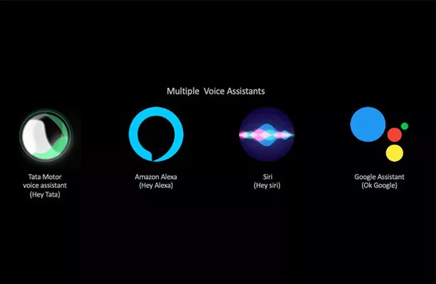 Multi voice assistance