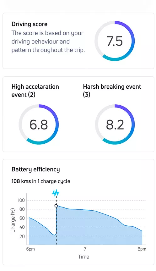 Electric Vehicle Performance