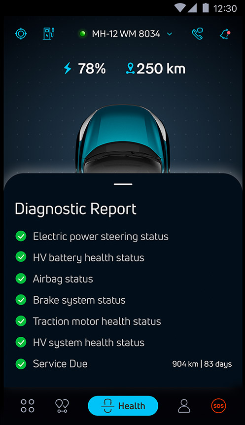 Remote vehicle health diagnostics