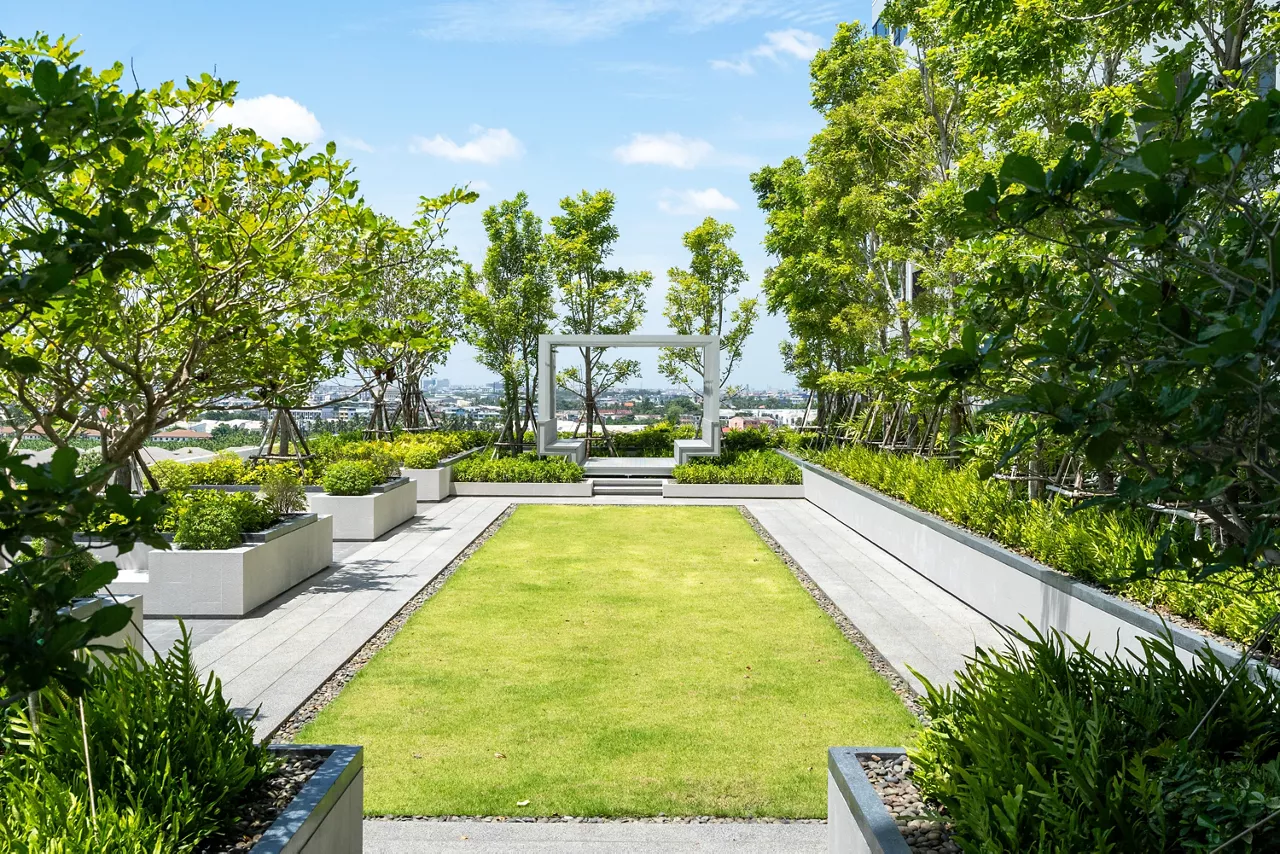 Rooftop Garden Pathway with City View