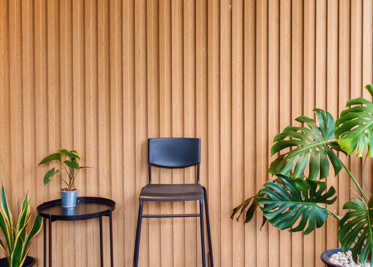 Houseplant in vase and black color chair ornamental on solid wooden battens wall background