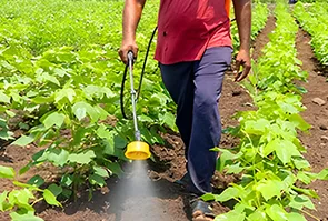farming