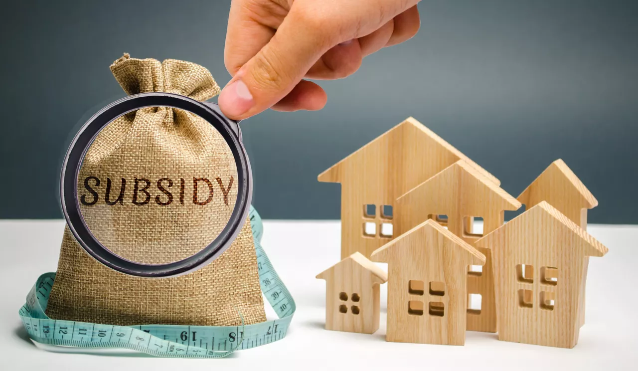 Money bag with the word Subsidy and wooden houses. Financial aid, support to the population. Cash grants, interest-free loans. Tax breaks, insurance, low-interest loans. Small minimal subsidy