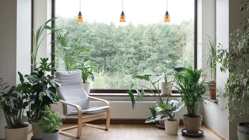 How much outdoor space do you want? - Desktop