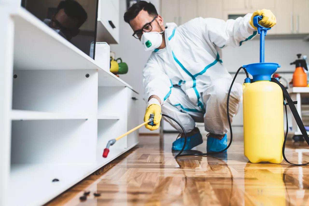 Exterminator in work wear spraying pesticide with sprayer. Selective focus.