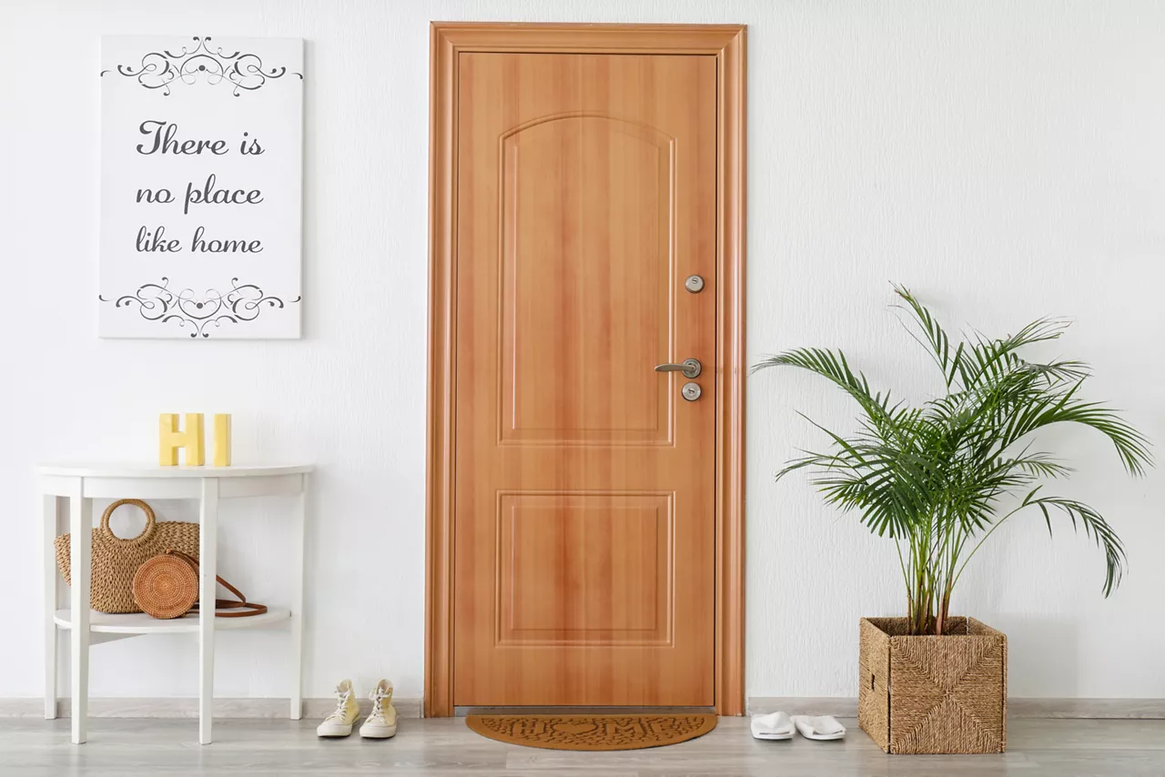 Interior of modern stylish hallway with door mat