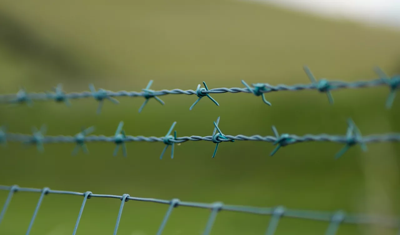 A Close Up Photograph of a Green Coloured Barbed Wire Fence, With Shallow Depth of Field