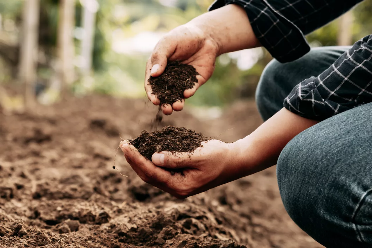 Hand of farmer inspecting soil health before planting in organic farm. Soil quality Agriculture, gardening concept.