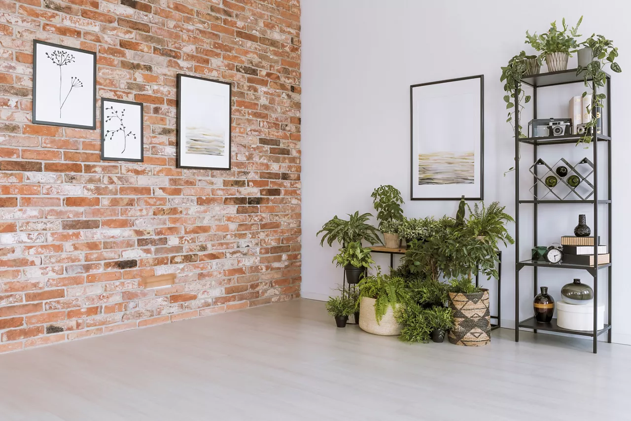 Plants under painting on white wall in simple living room with pictures on red brick wall