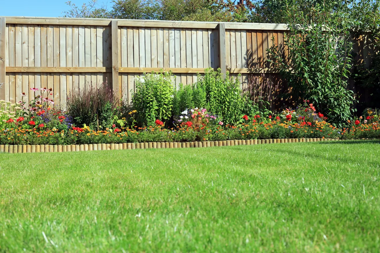 Shrubs And Flowers In A Border Surrounded By A Wooden Panel Fence And Grass Lawn In A Back Garden.