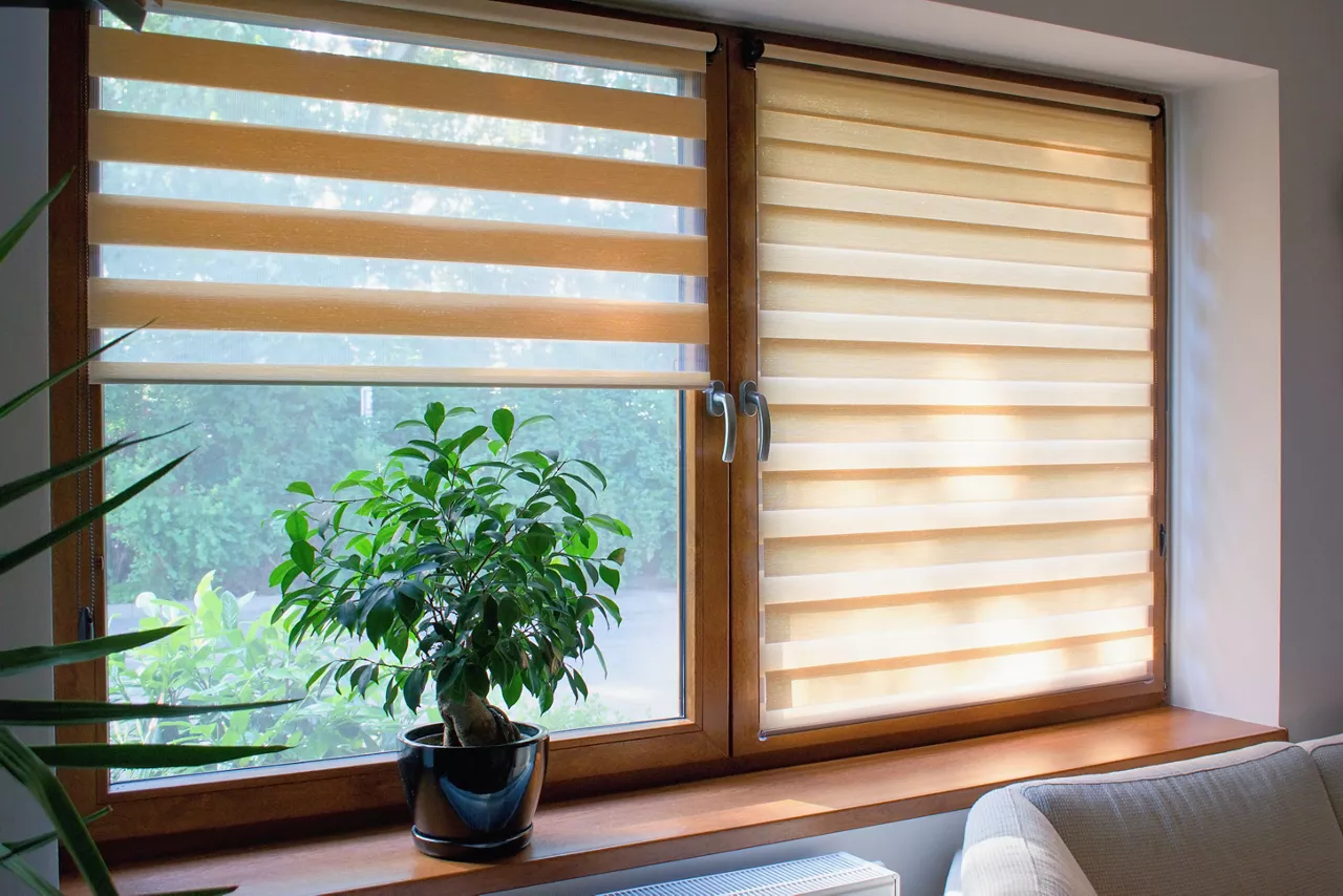 Window roller, duo system day and night.  Cozy home interior.