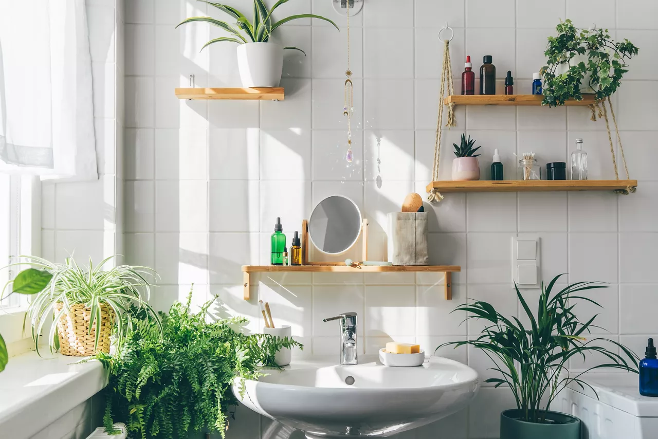 White modern bathroom in eco friendly stile. Shadows from the window on th tile wall at sunny day. Zero waste, eco friendly products, sustainability. Urban jungle. Biophilic design of interior