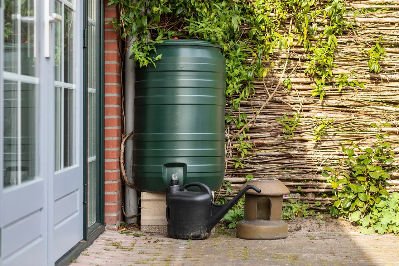 A green rain barrel to collect rainwater and reusing it to water the plants and flowers in a backyard with a wattle fence made of willow branches on a sunny day