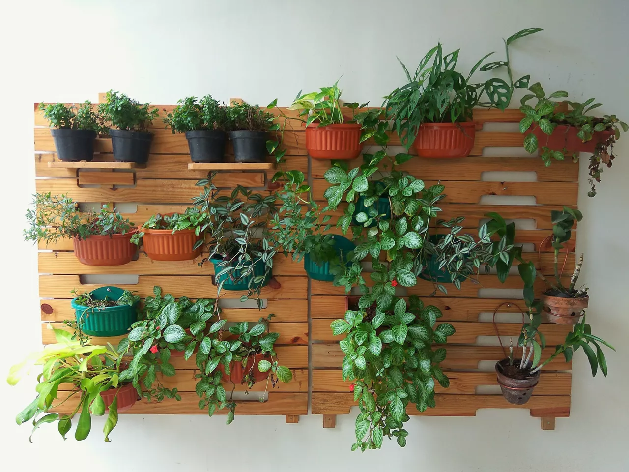 vertical garden flower on wood with pots