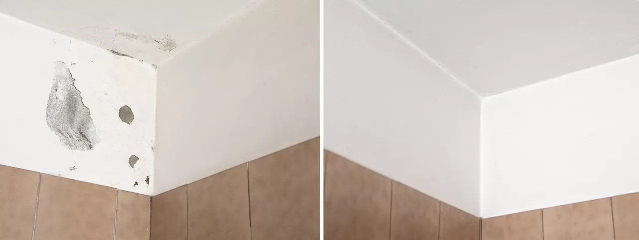 White wall of an old bathroom showing the before and after being whitewashed with paint containing anti-mold