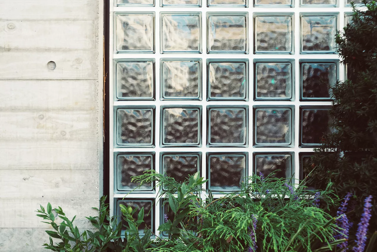 Glass block and concrete walls and plants