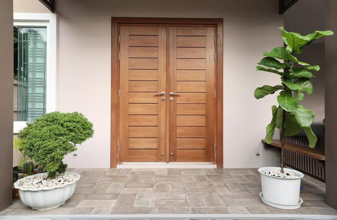 Main entrance of residential house with tiled floor decorated with green ficus lyrate tree in white pot.