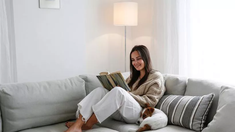 Furniture: Comfort comes first - Desktop