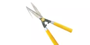 scissor