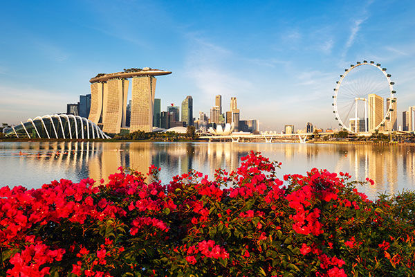 Fly to Singapore — City of the Future