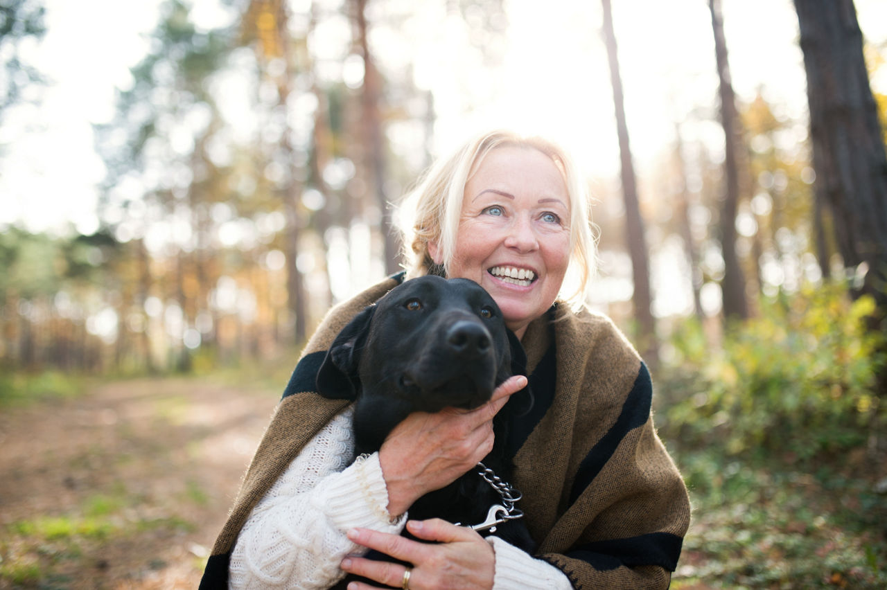 A happy old woman on a walk in forest. Copy space.