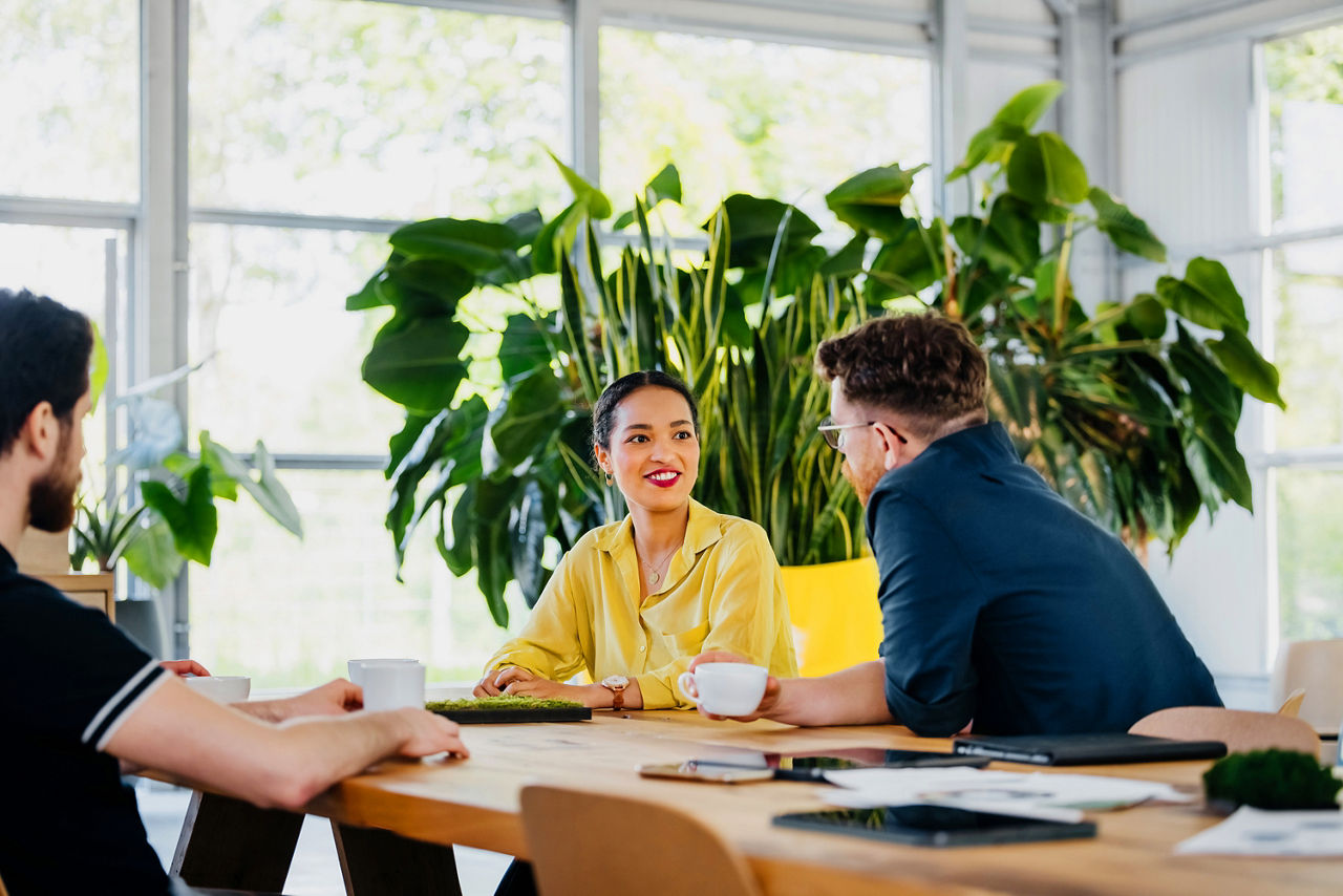 A group of colleagues sitting at a large desk for a business meeting in a modern office space with a large green plant on display.