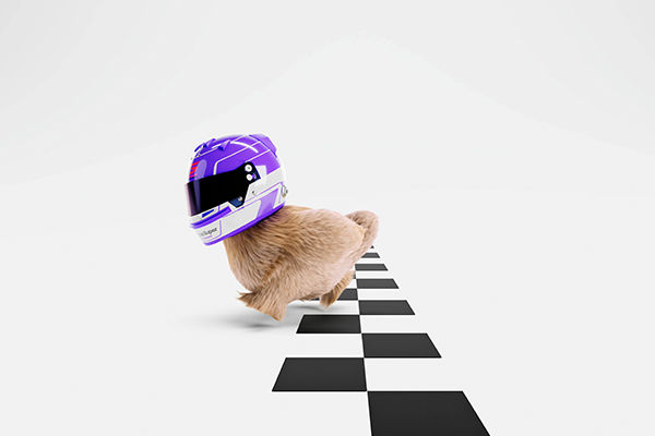 supercars-chicken-finish-line
