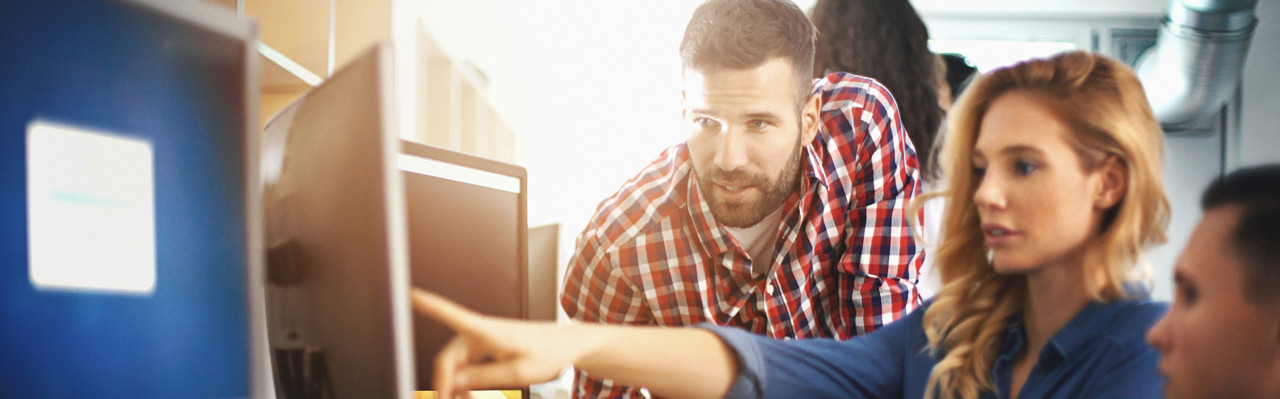 Hardware/Software Product Realization