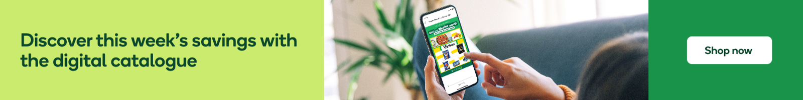 Catalogue Banner